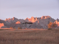 Evening light